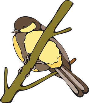 黃胸雀鳥插圖 壁紙
