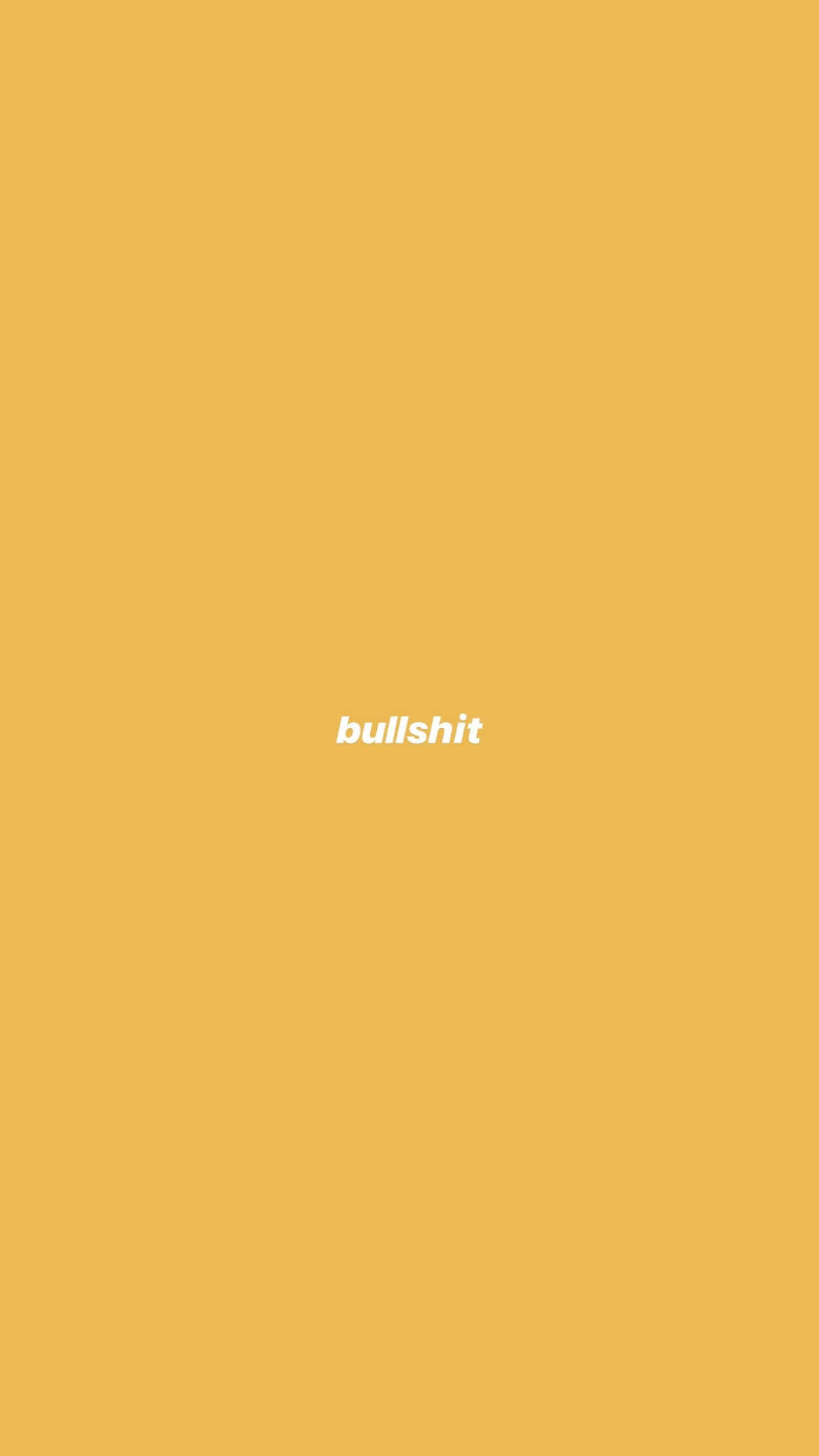 芥末黃色背景，中央有白色文字 bullshit
