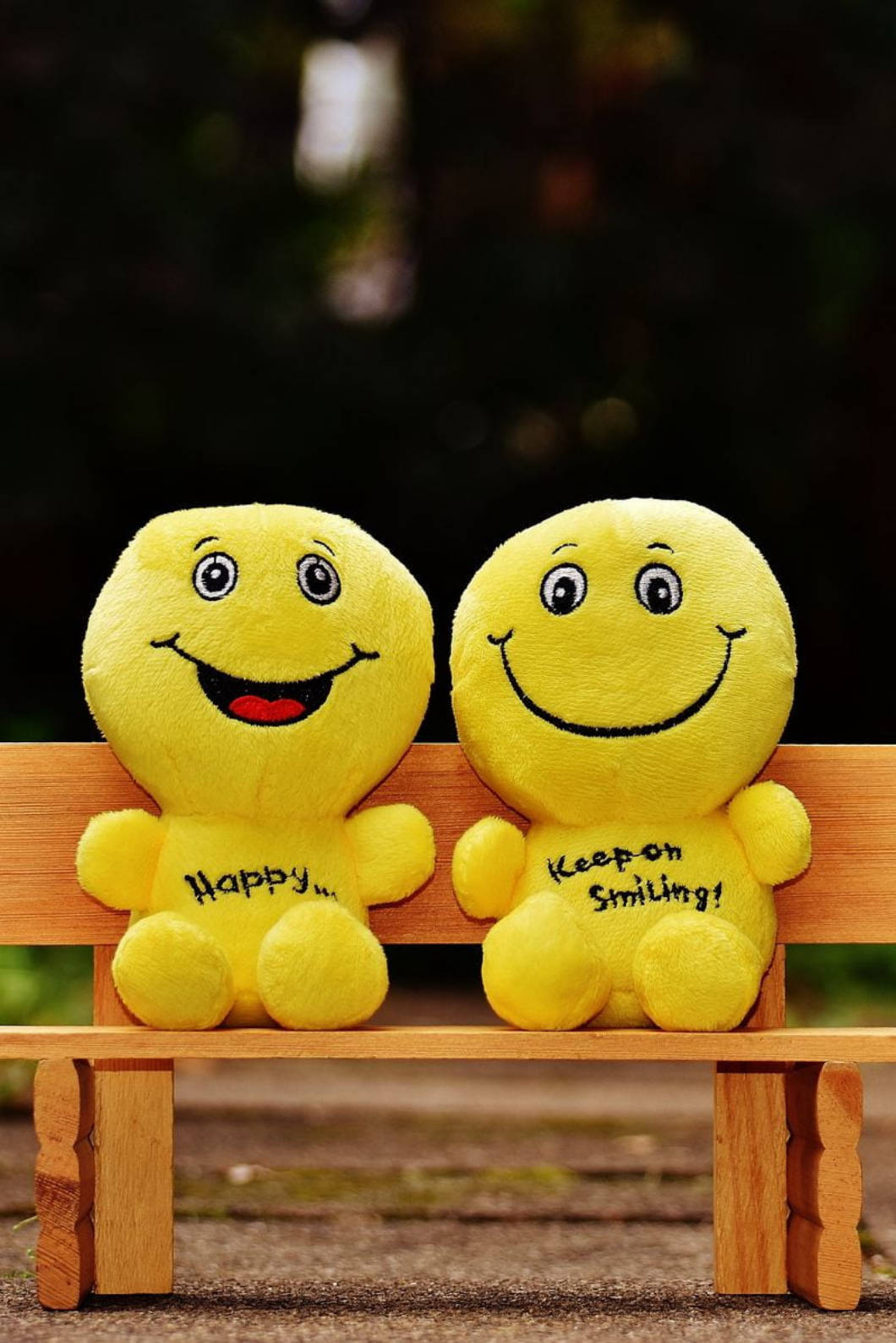 兩個黃色笑臉毛絨玩具坐在木長椅上，繡有 happy 和 keep on smiling 訊息