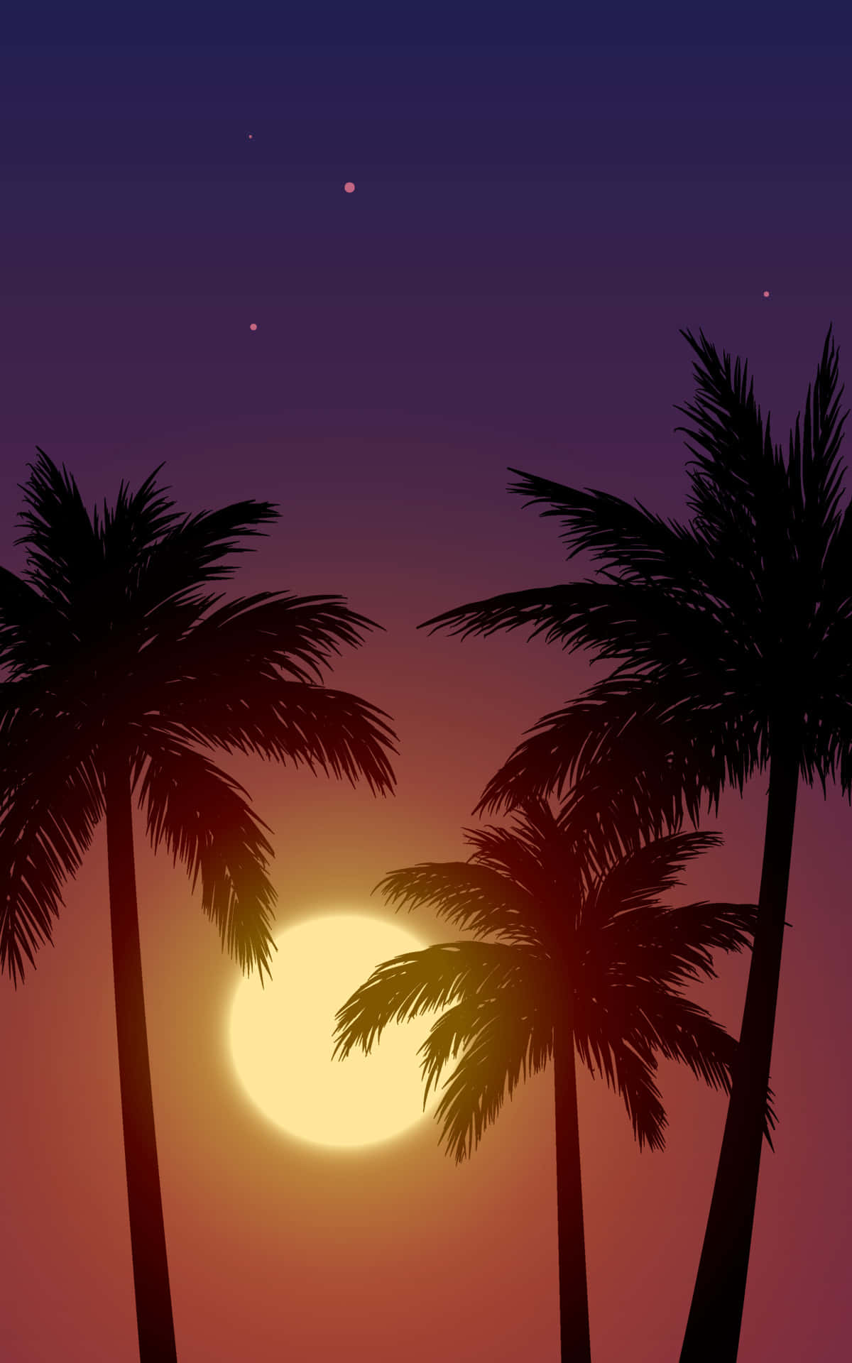 棕櫚樹剪影襯托著夕陽天空與星星
