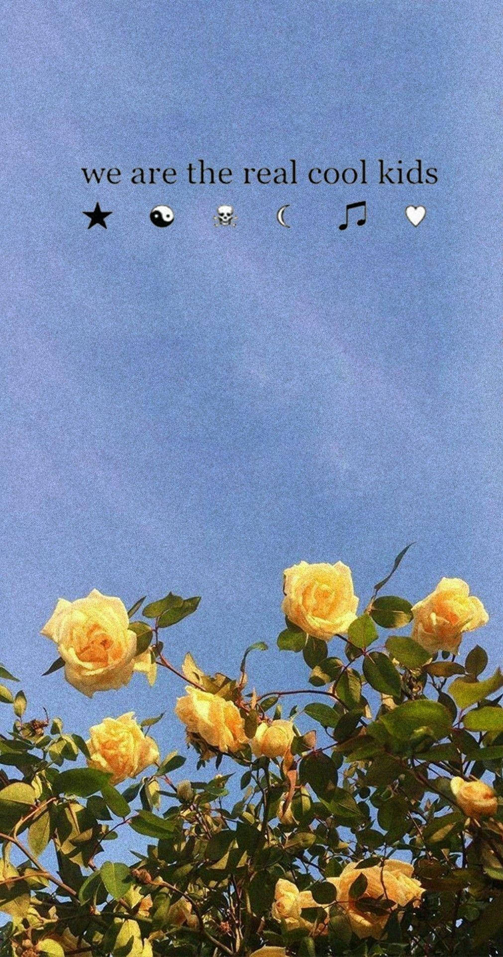 Roses 桌布 壁紙 — 黃色玫瑰在清澈的藍天下盛開，上方有文字和表情符號。