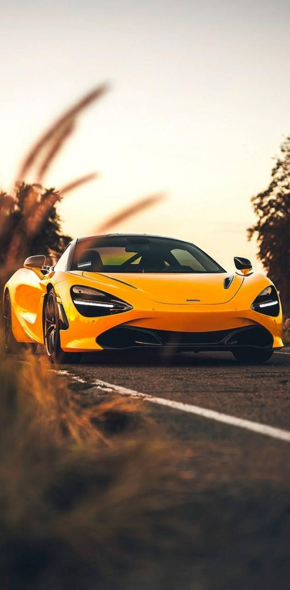黃色McLaren跑車在日落時分的道路上疾馳，前景有模糊的草叢。
