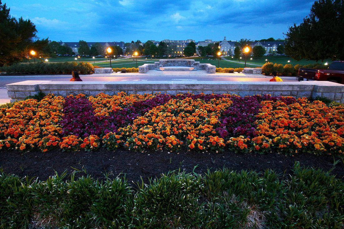 暮色中公園裡色彩繽紛的花壇，人們坐在石凳上。