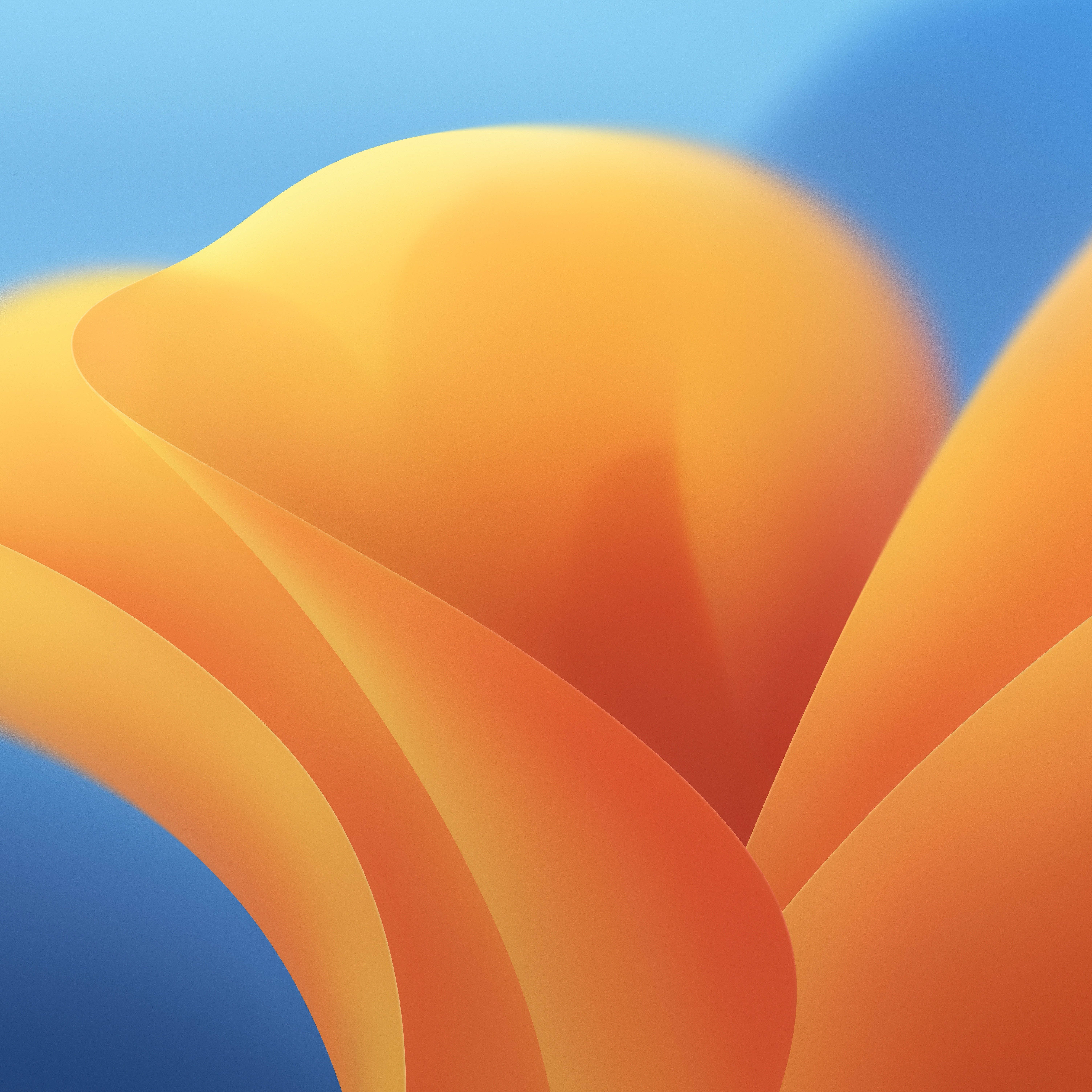 黃色花朵 iOS 16 壁紙 — 流暢的橙色和藍色抽象形狀營造出柔和漸變，帶有溫和的曲線和微妙的陰影。