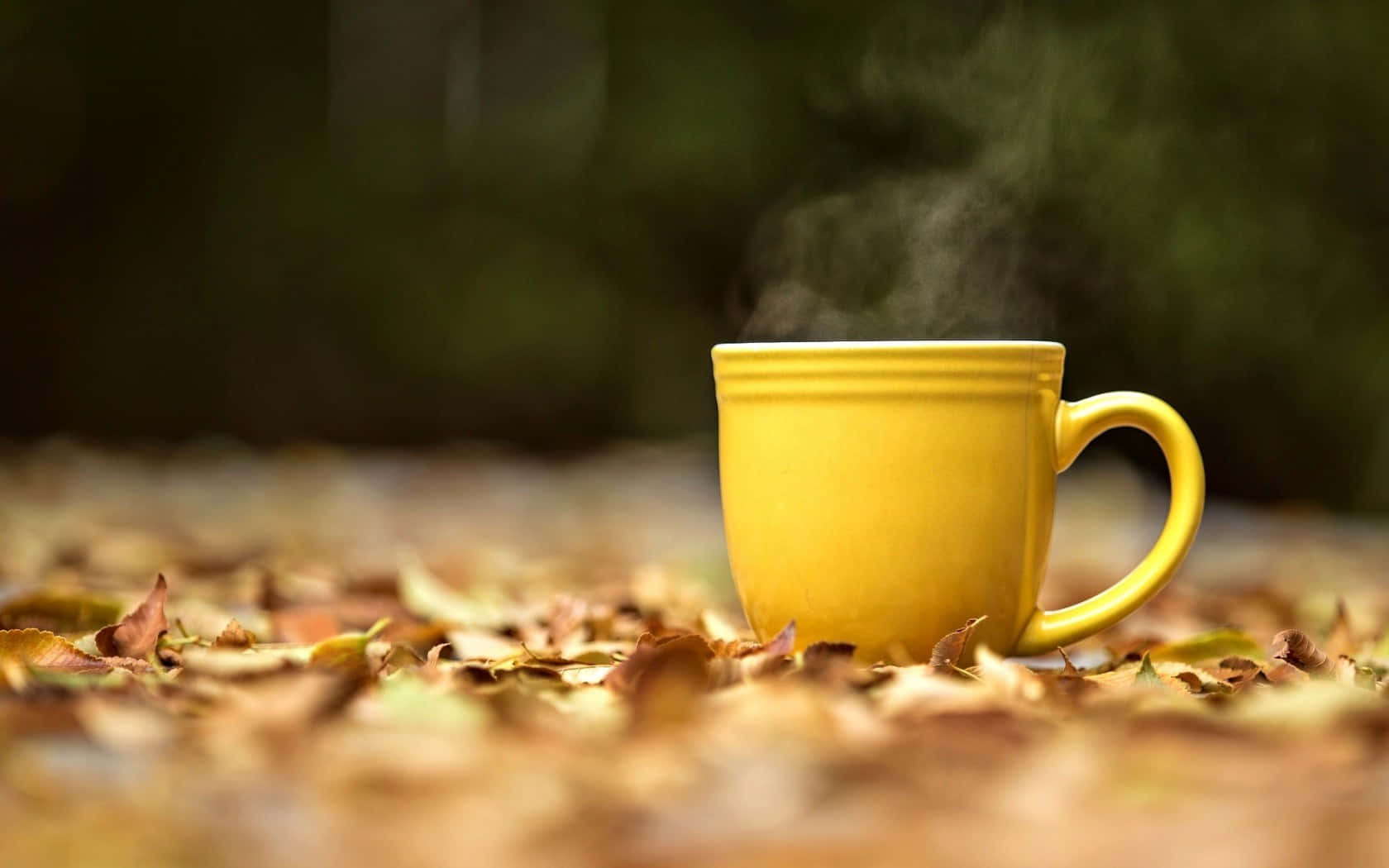 黃色茶杯圖 壁紙 — 一個冒著蒸氣的黃色馬克杯放在柔焦森林背景中的落葉堆上。