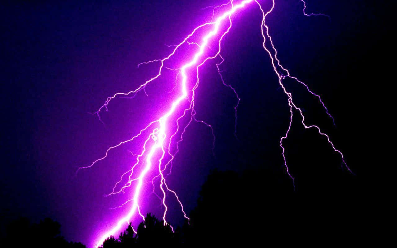 紫色閃電照亮了暴風雨的夜空，映襯出樹木的剪影。