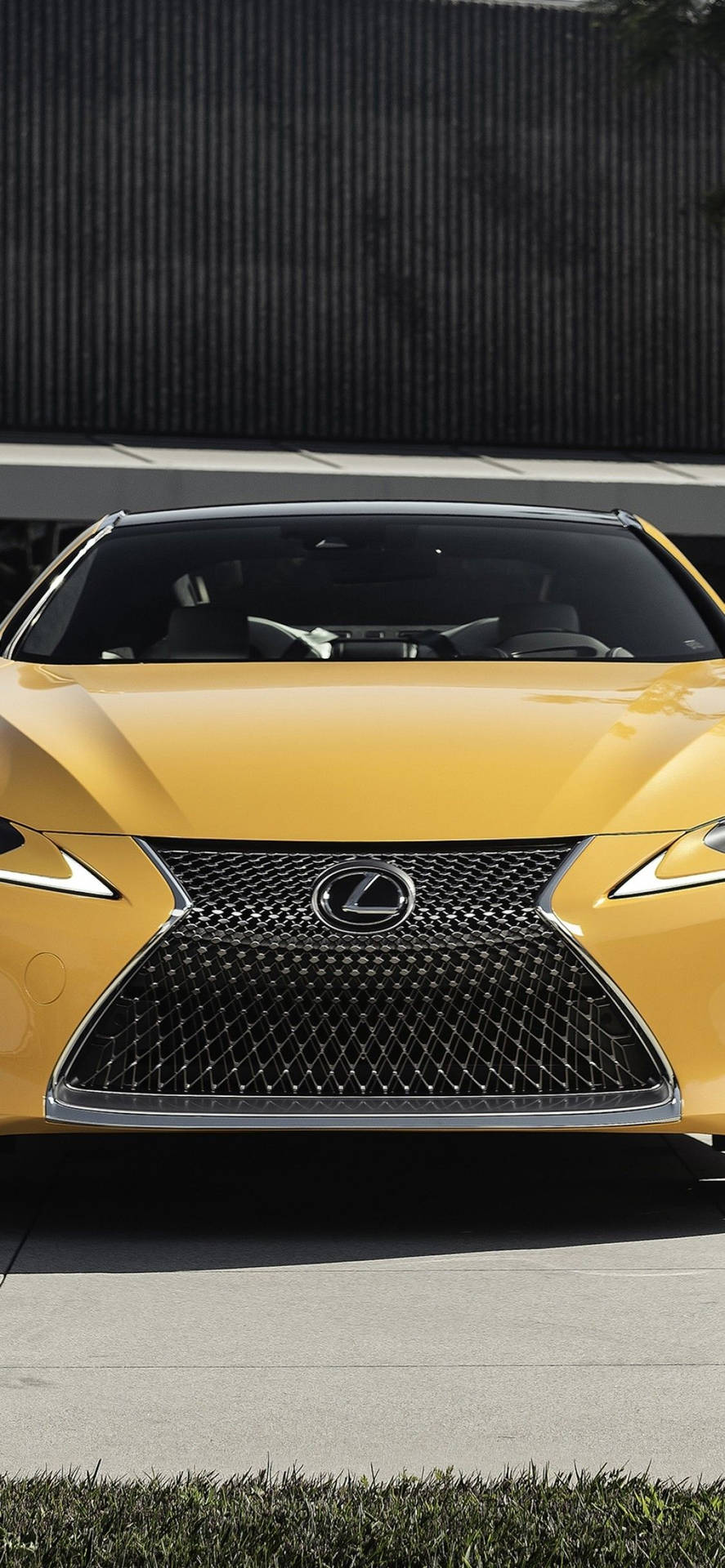 黃色Lexus跑車帶有獨特格柵，停在深色牆壁附近。