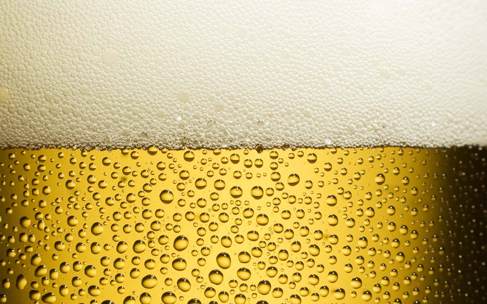 金色啤酒，帶有冷凝水滴和白色泡沫在玻璃杯上。