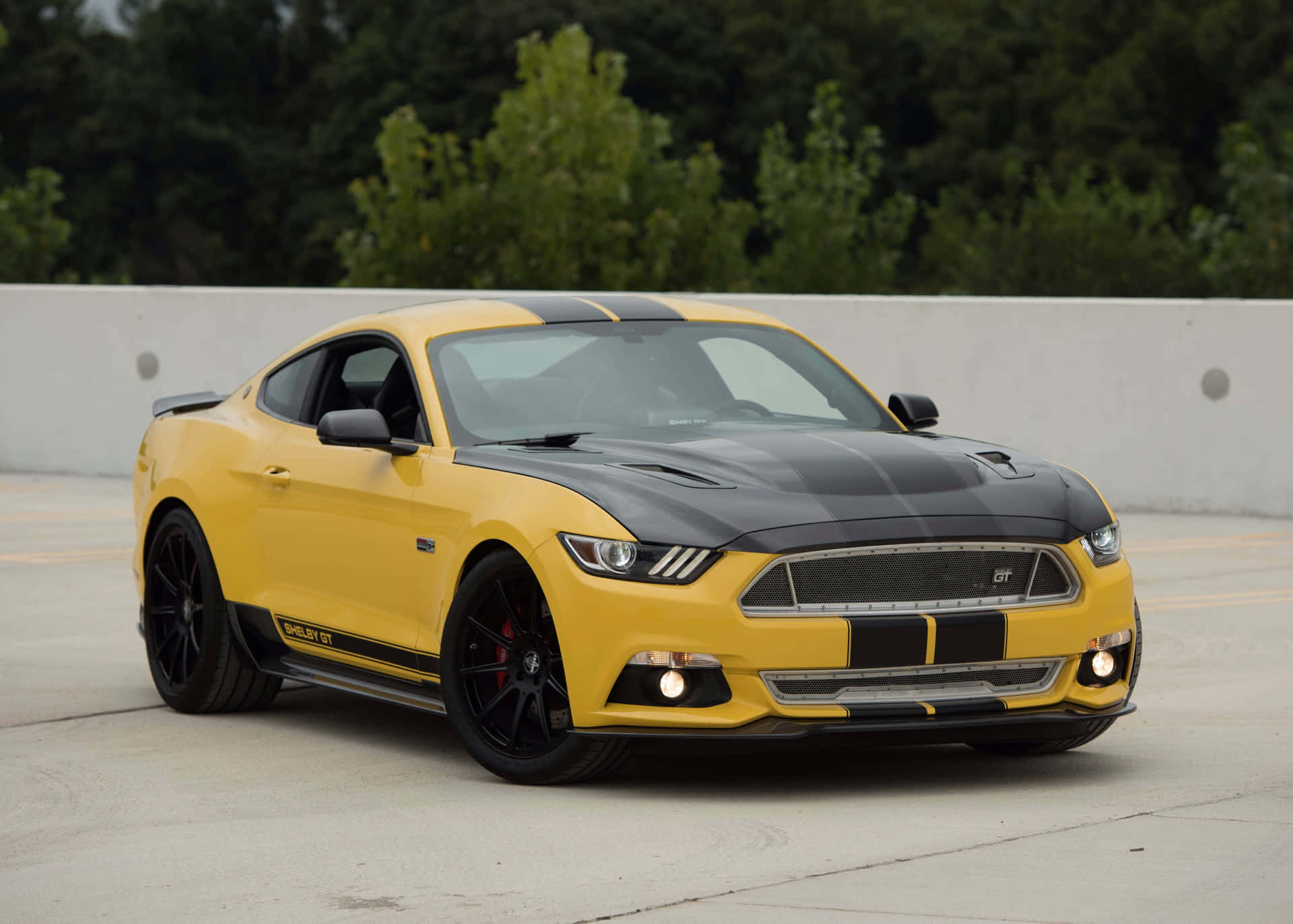 黃色福特Shelby GT跑車，帶有黑色點綴，停在混凝土表面上。