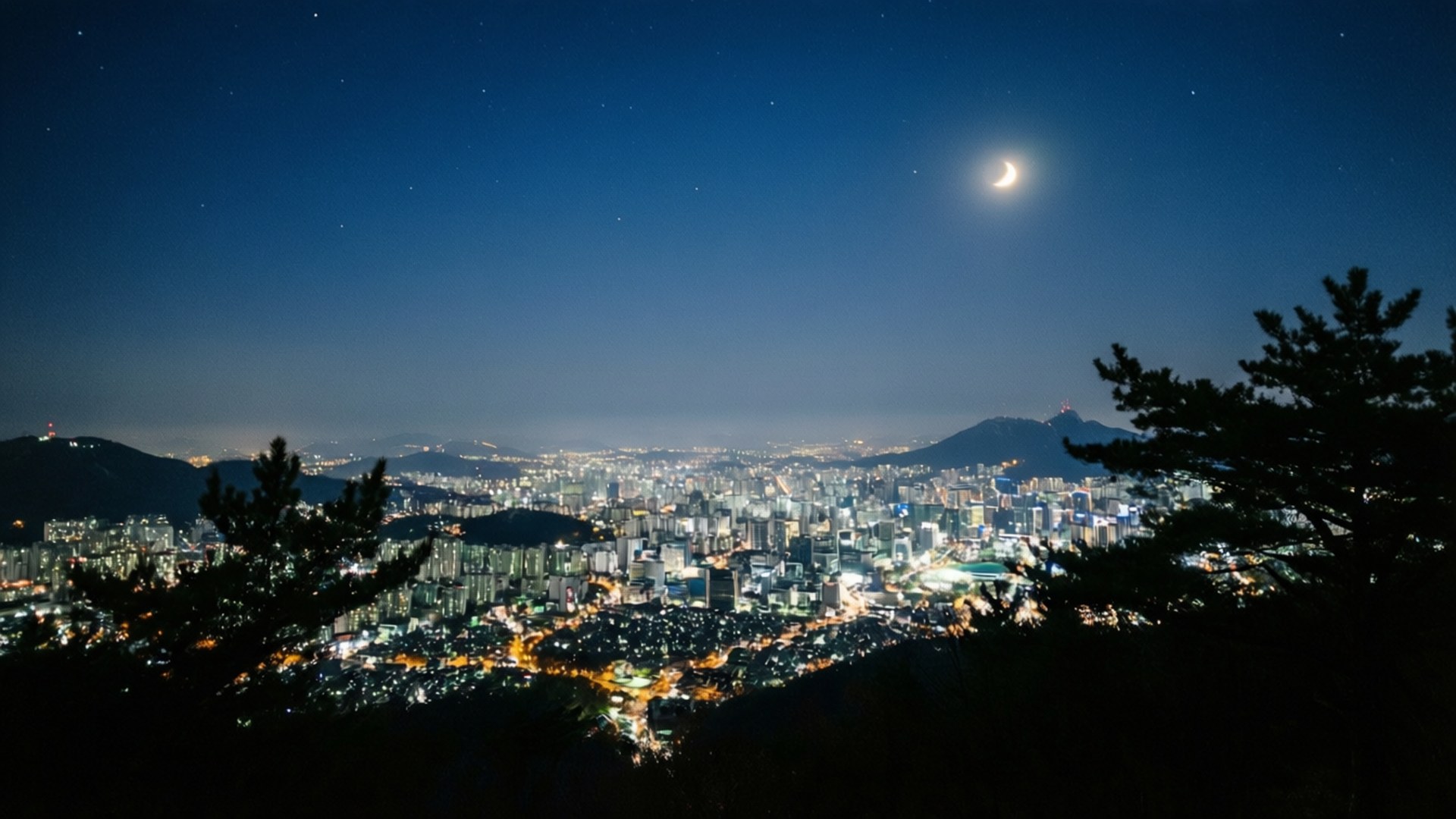 城市夜景，在彎月和星空下亮起，被松樹框住的景色