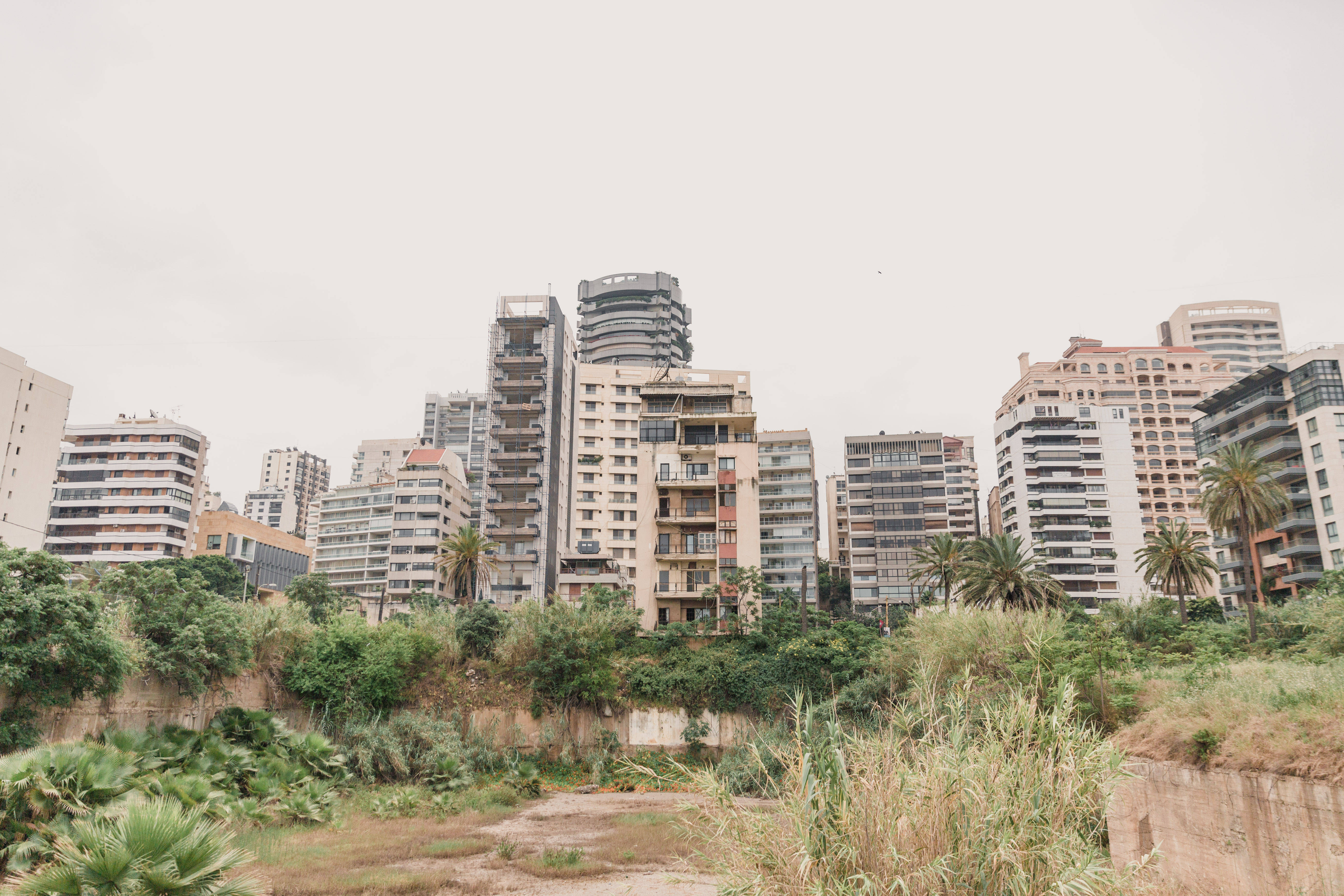 黎巴嫩城市建築 壁紙 — 前景的茂密植被與陰天下的密集現代高層建築形成對比。
