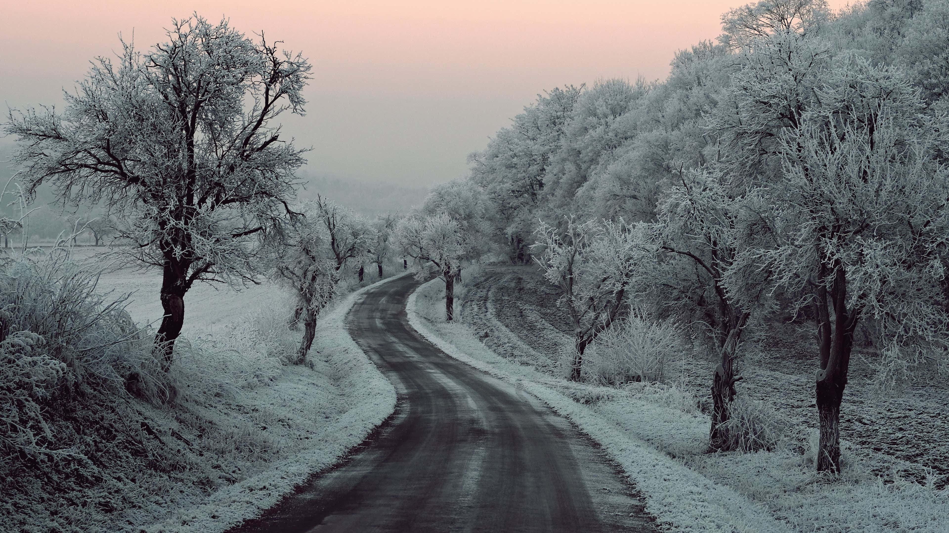 Snowy Road 桌布 壁紙 — 黎明時分，一條蜿蜒的道路穿過霜凍覆蓋的森林，冰樹與柔和的粉紅色天空相映成趣。