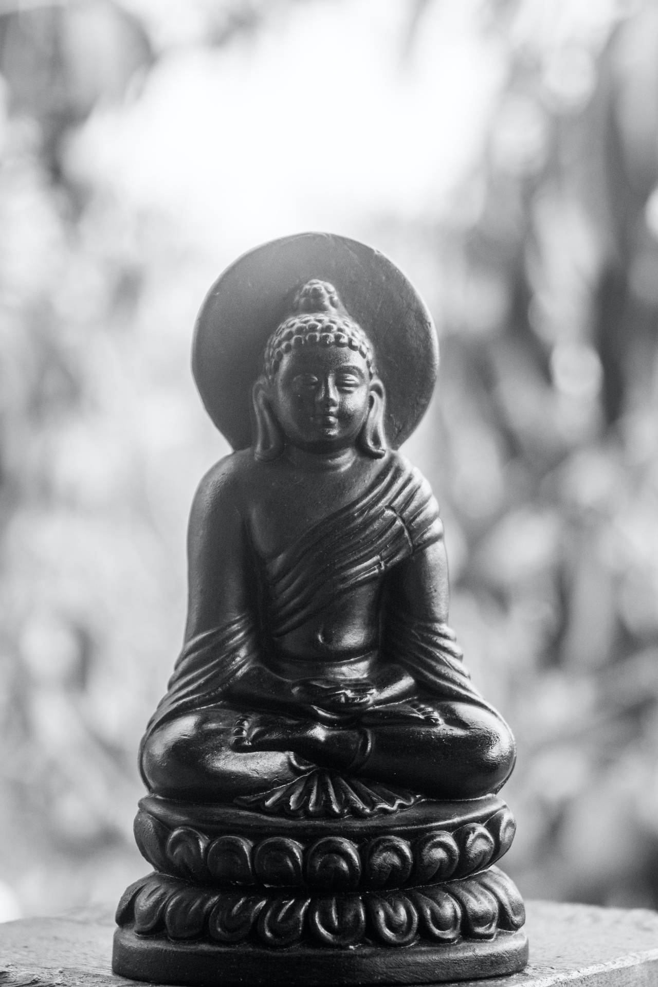 一尊黑色佛像在花園環境中帶著光環冥想。