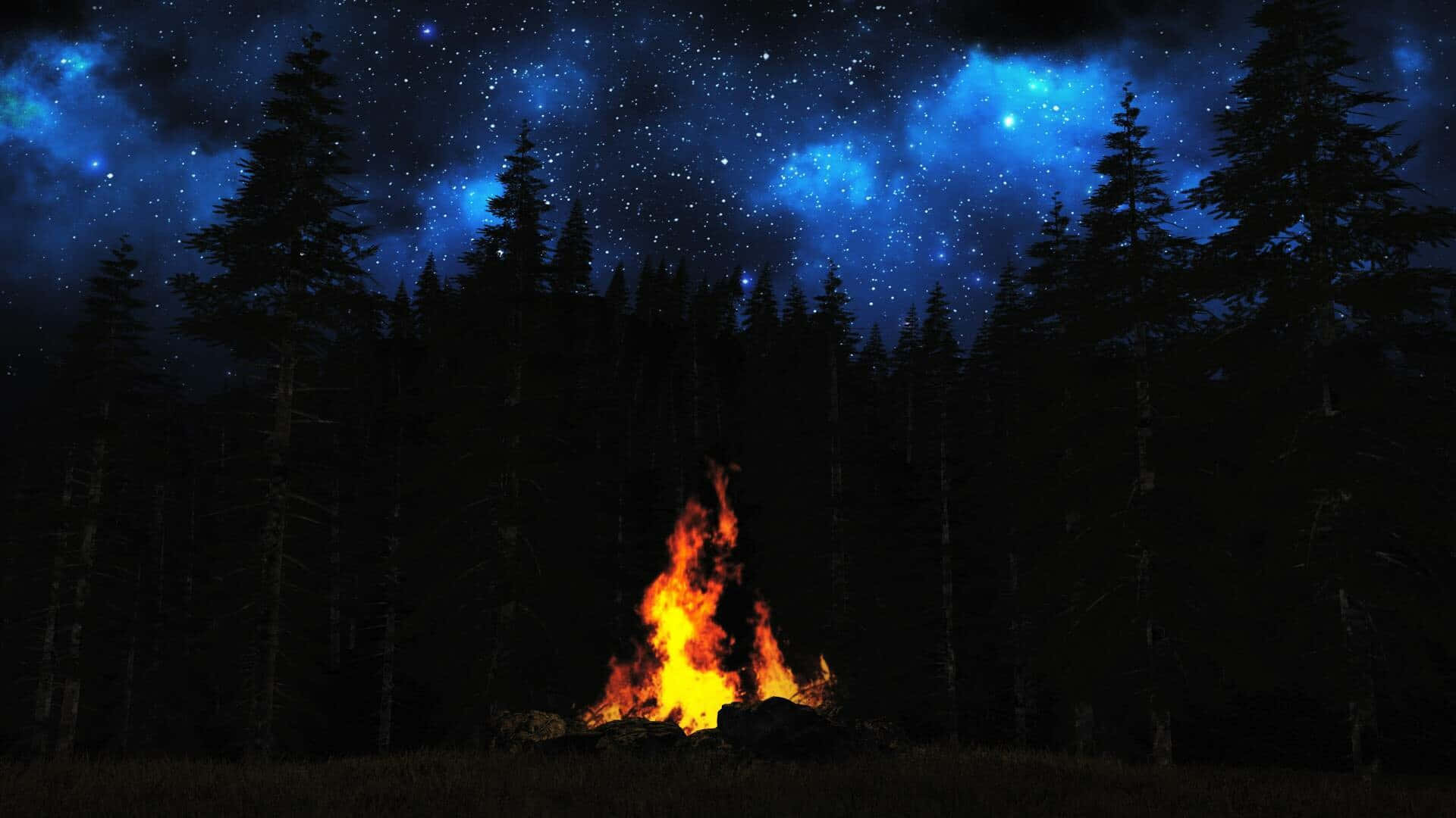 黑夜中閃耀的迷人營火 壁紙 — 一個充滿活力的營火在繁星點點的藍色夜空下明亮地燃燒，周圍環繞著深色的松樹。