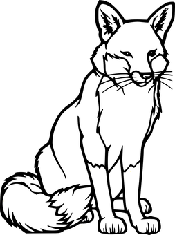 黑夜星空 壁紙