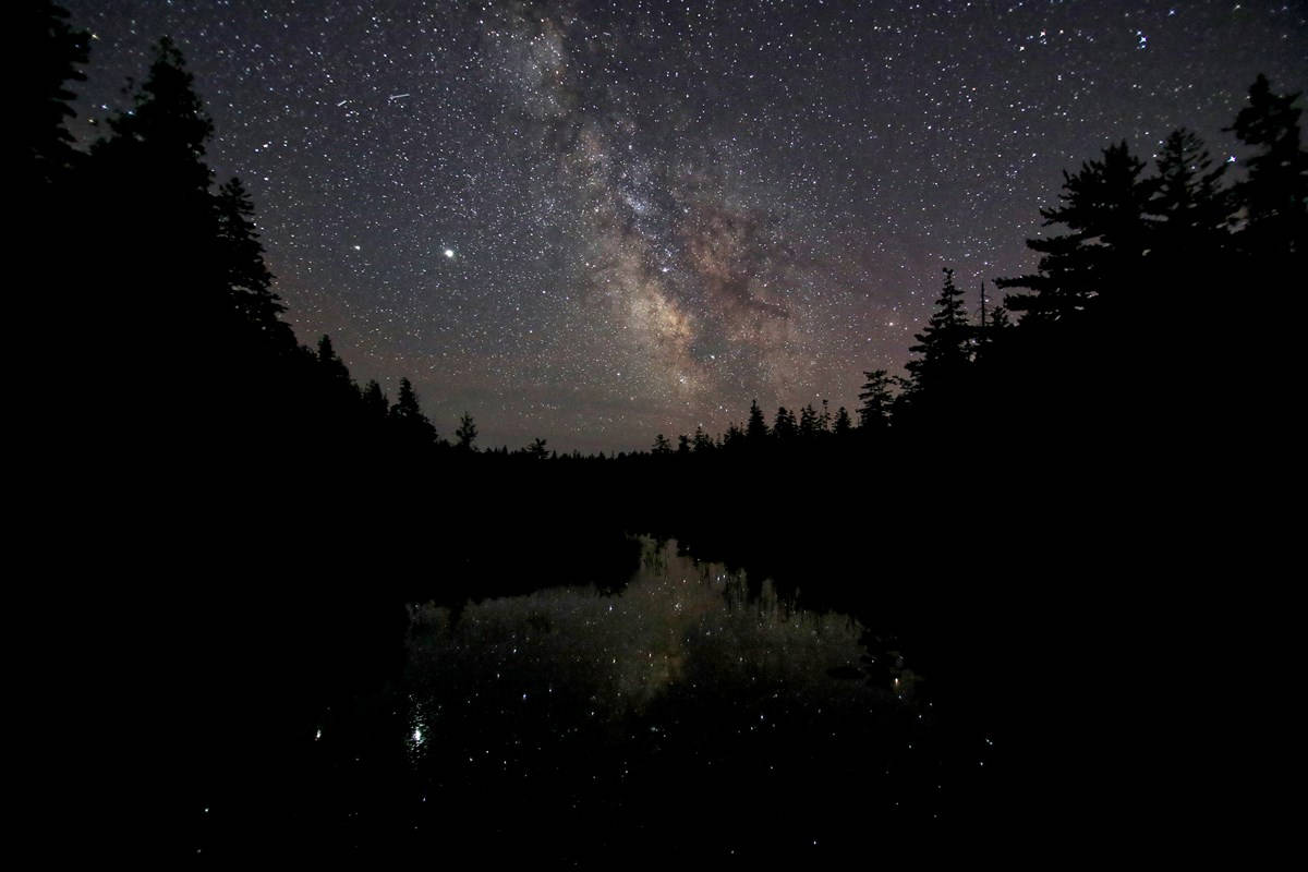 夜晚，銀河系倒映在平靜的湖面上，四周環繞著松樹。