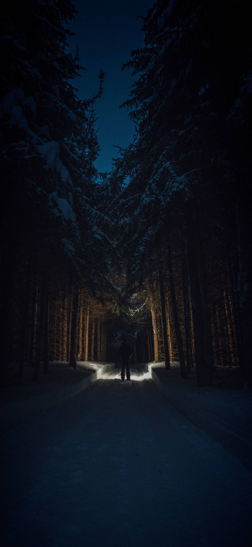 一個人在夜晚獨自走在積雪的森林小徑上，伴隨著明亮的光線。
