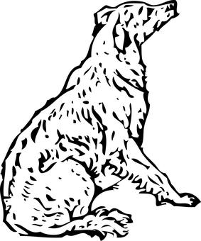 黑屏無圖像