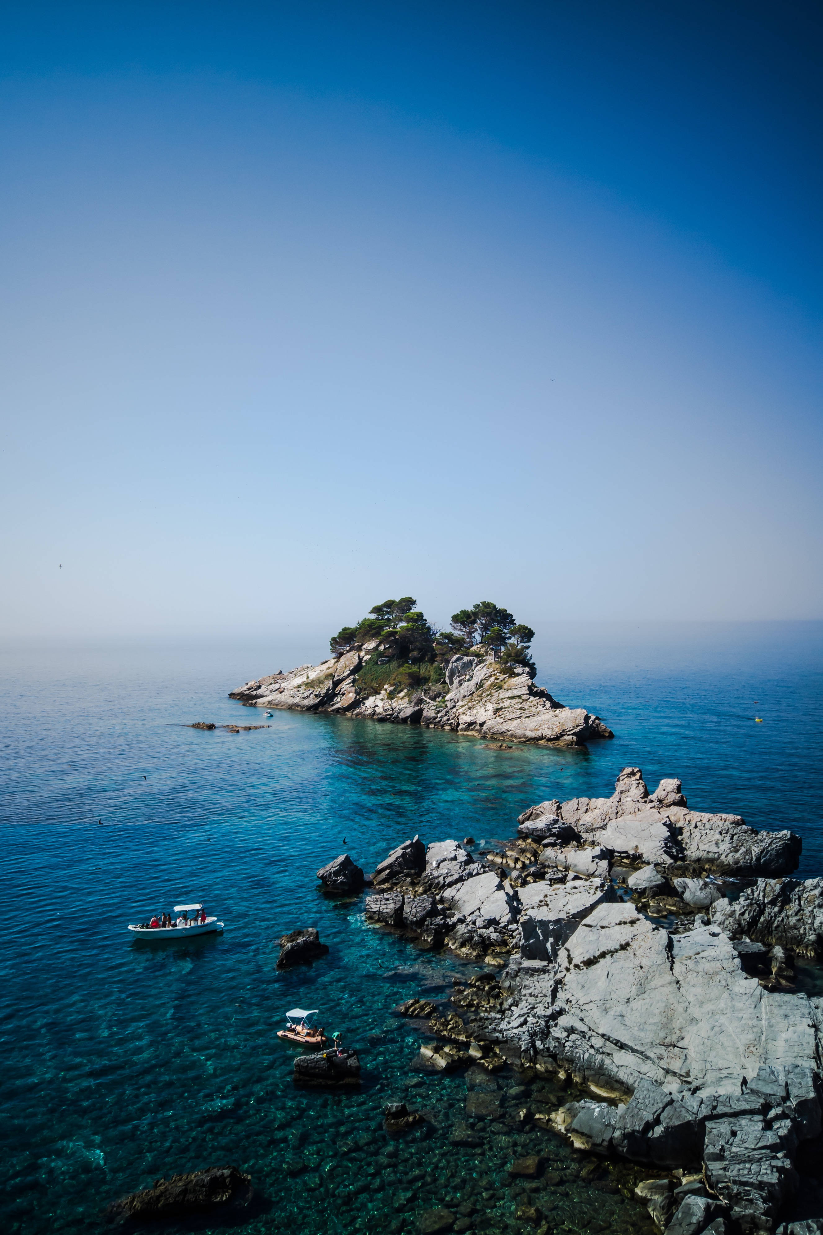 黑山美麗島嶼 壁紙 — 一個長滿松樹的小岩石島嶼，從清澈碧綠的海水中升起，上方是廣闊的藍天。