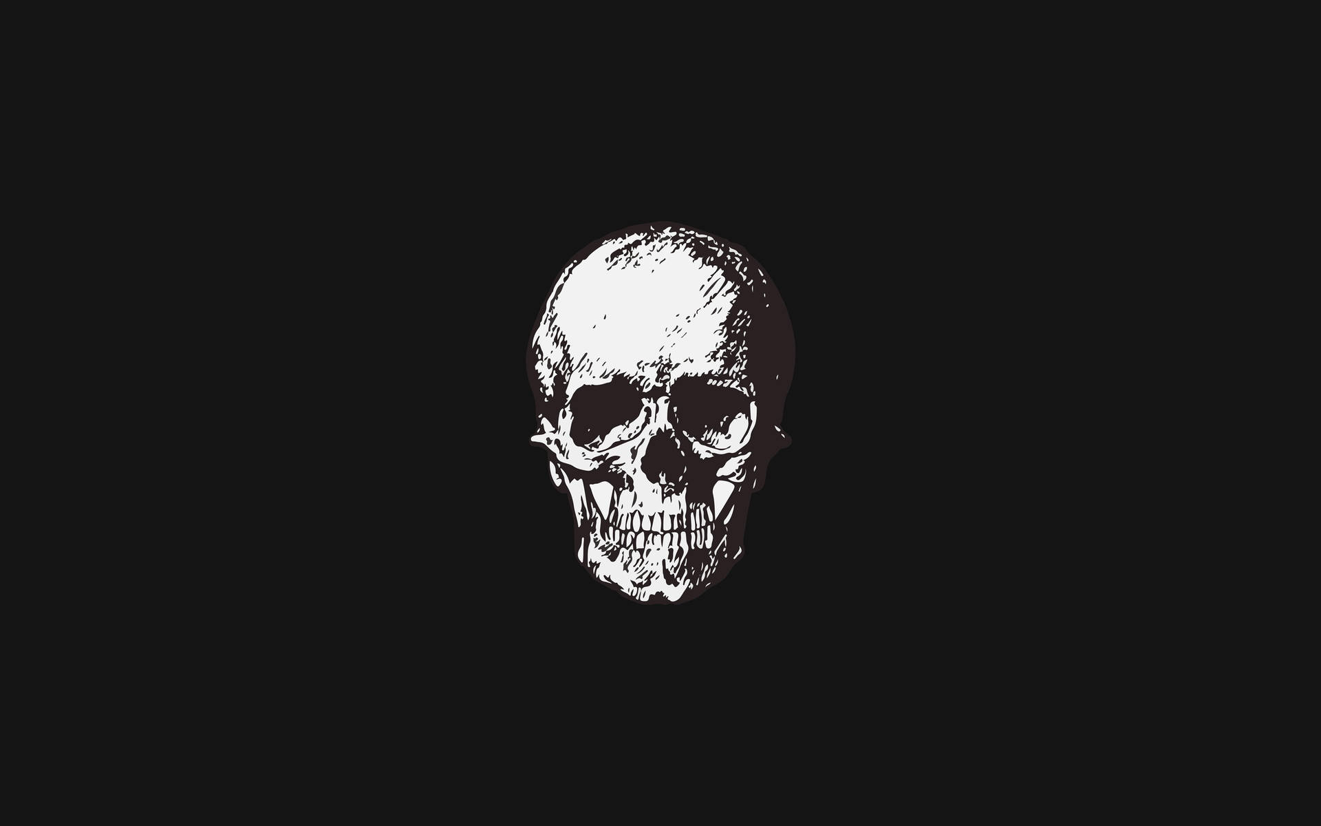黑色背景上的白色插圖骷髏。