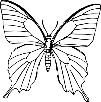 黑底帝王蝶