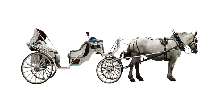 黑底白馬拉車
