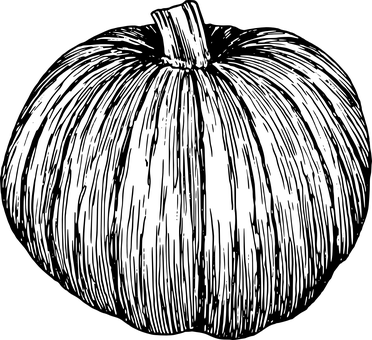 黑暗中南瓜 壁紙