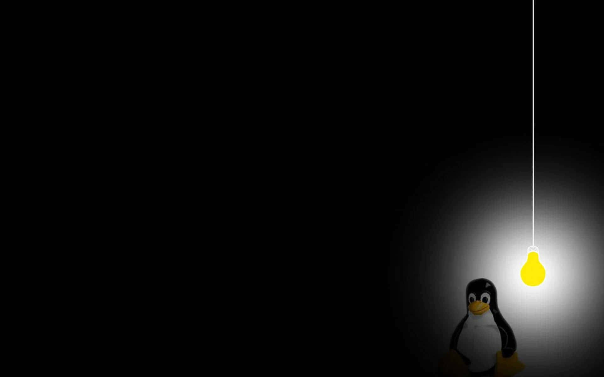 Linux圖片