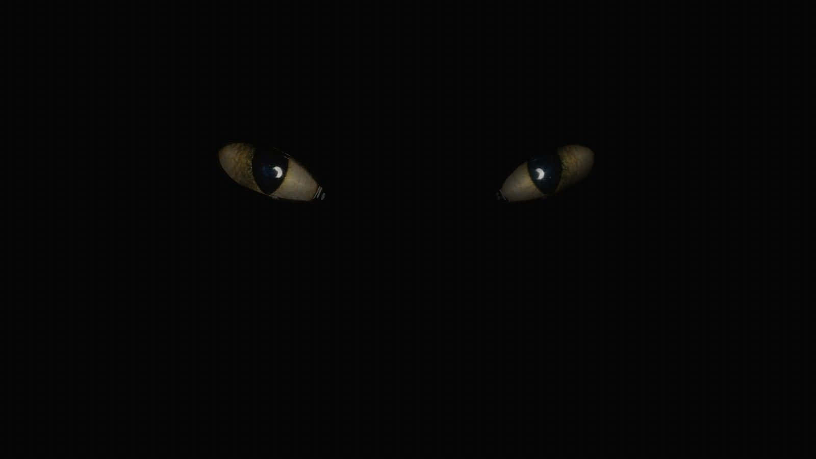 兩隻發光的貓眼在黑暗中凝視