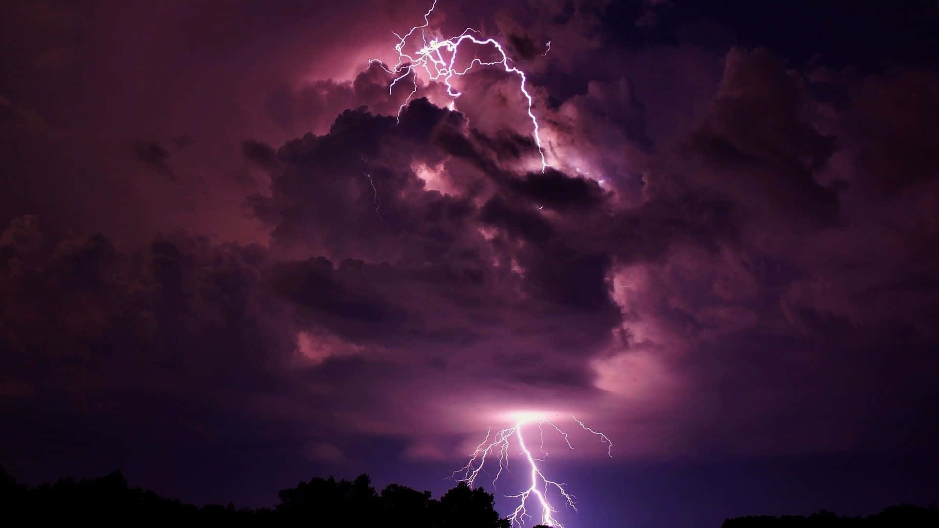 黑暗暴風雨之夜 壁紙 — 一場戲劇性的紫色閃電風暴照亮了夜間樹木剪影上方的烏雲。