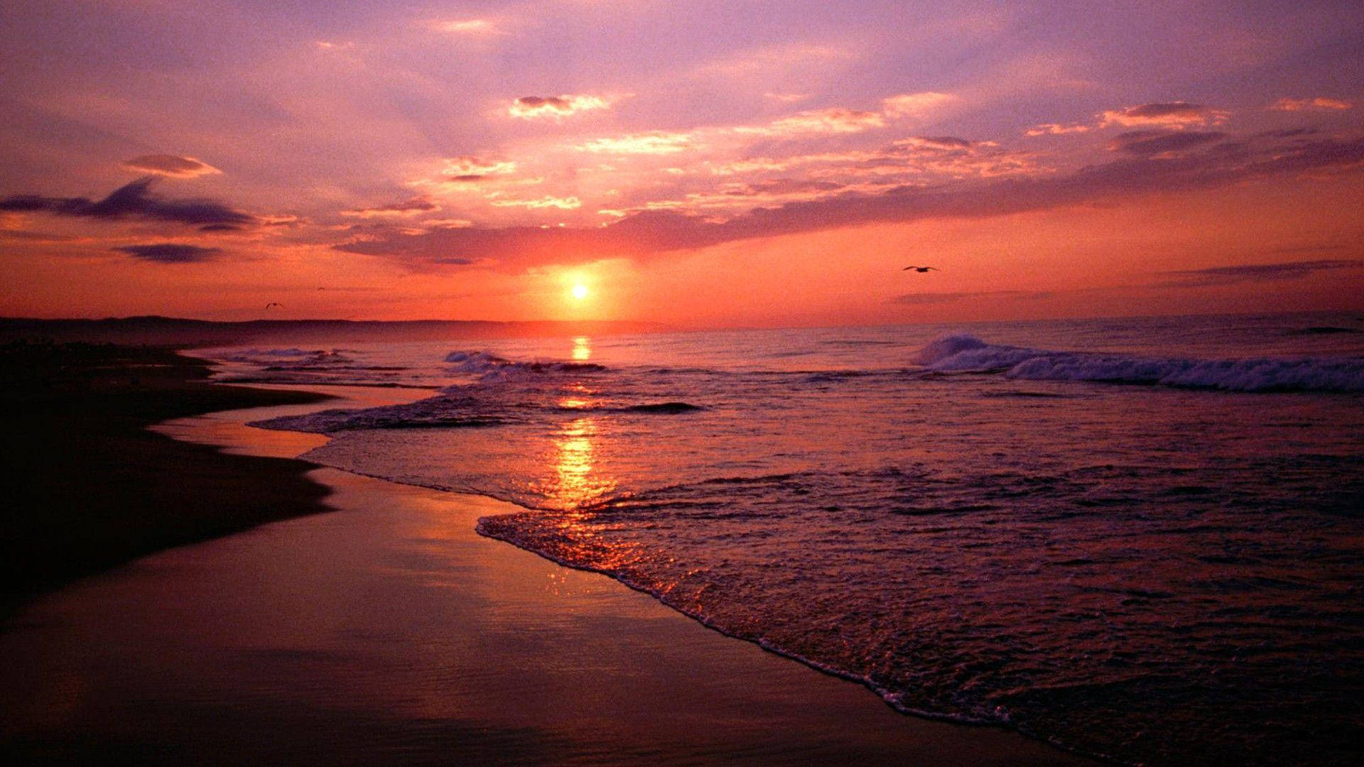 黑暗海灘上的日落 壁紙 — 充滿活力的夕陽將海洋和天空染成火熱的橙色和紫色色調，海浪輕輕拍打著深色沙灘。