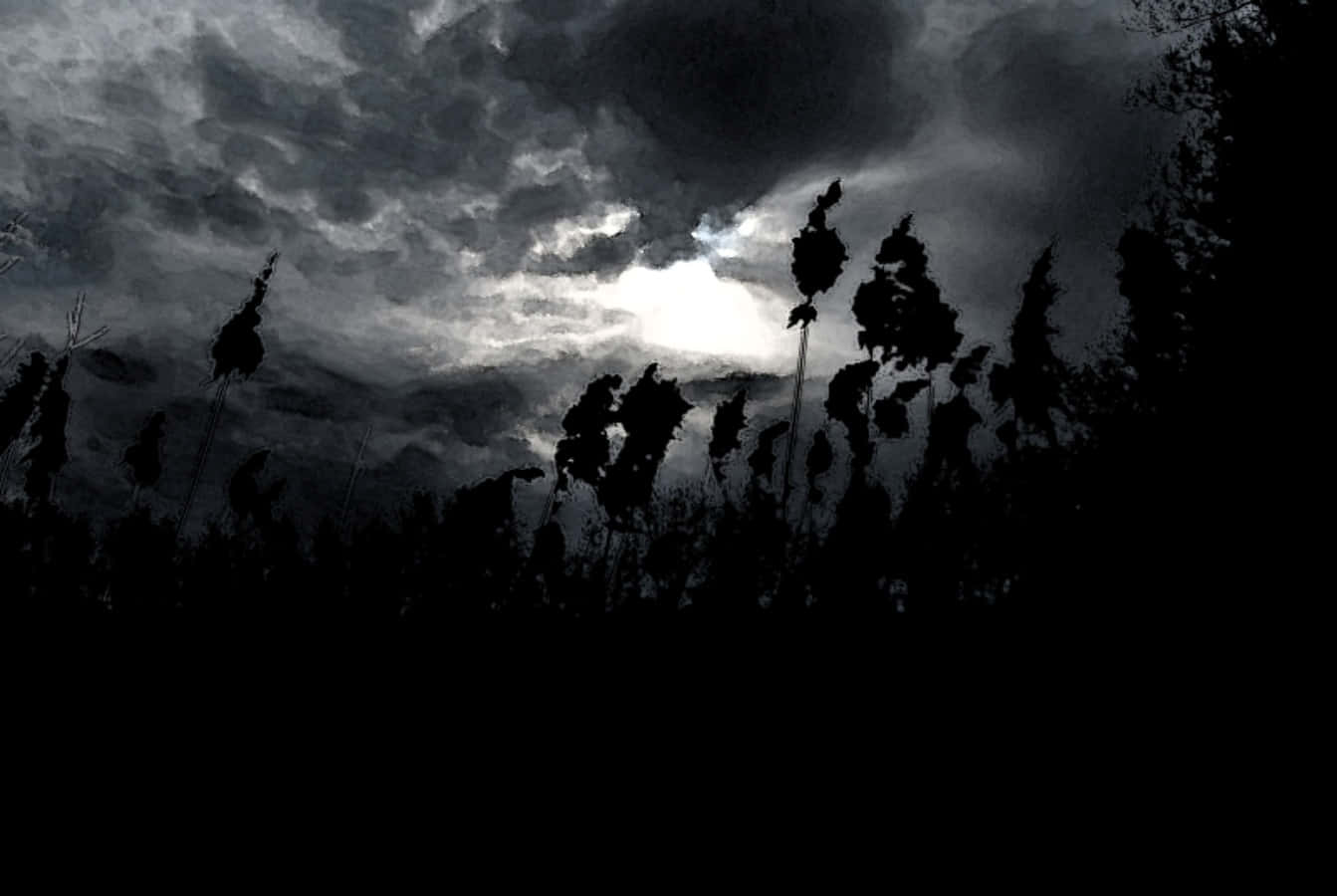 黑暗剪影的蘆葦襯托著暴風雨的天空，雲層中有一道明亮的裂縫。