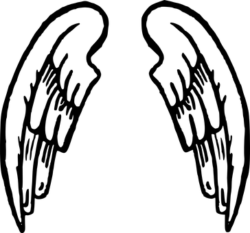 黑暗籠罩之翼 壁紙