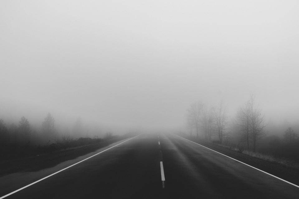 兩旁光禿樹木的荒涼霧路