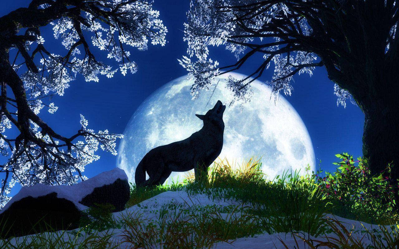 黑狼在花樹間嚎叫 壁紙 — 一隻孤狼在深藍色夜空下，對著被雪覆蓋的櫻花樹環繞的巨大月亮嚎叫。