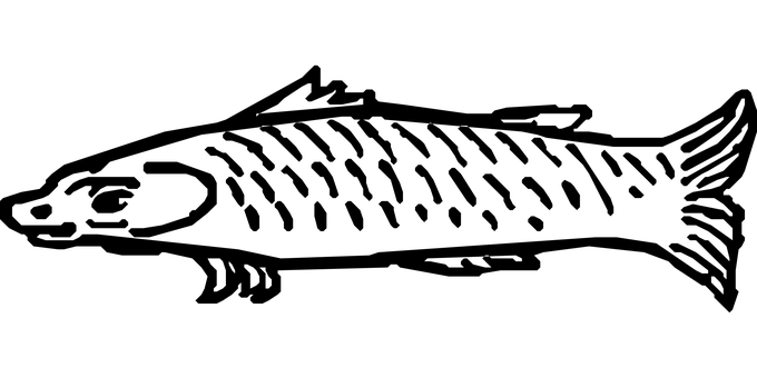 黑畫面無內容 壁紙