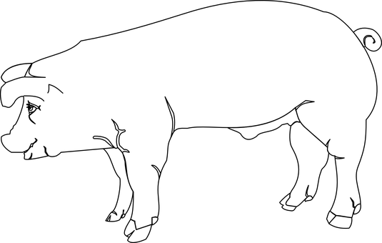 黑畫面無內容 壁紙