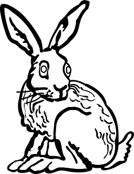 黑白兔插畫 壁紙