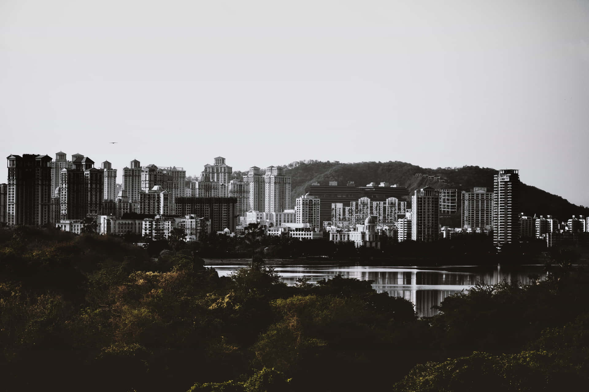 黑白城市倒影 壁紙 — 單色城市景觀，高樓大廈倒映在平靜的水面上，由深色樹木框住。
