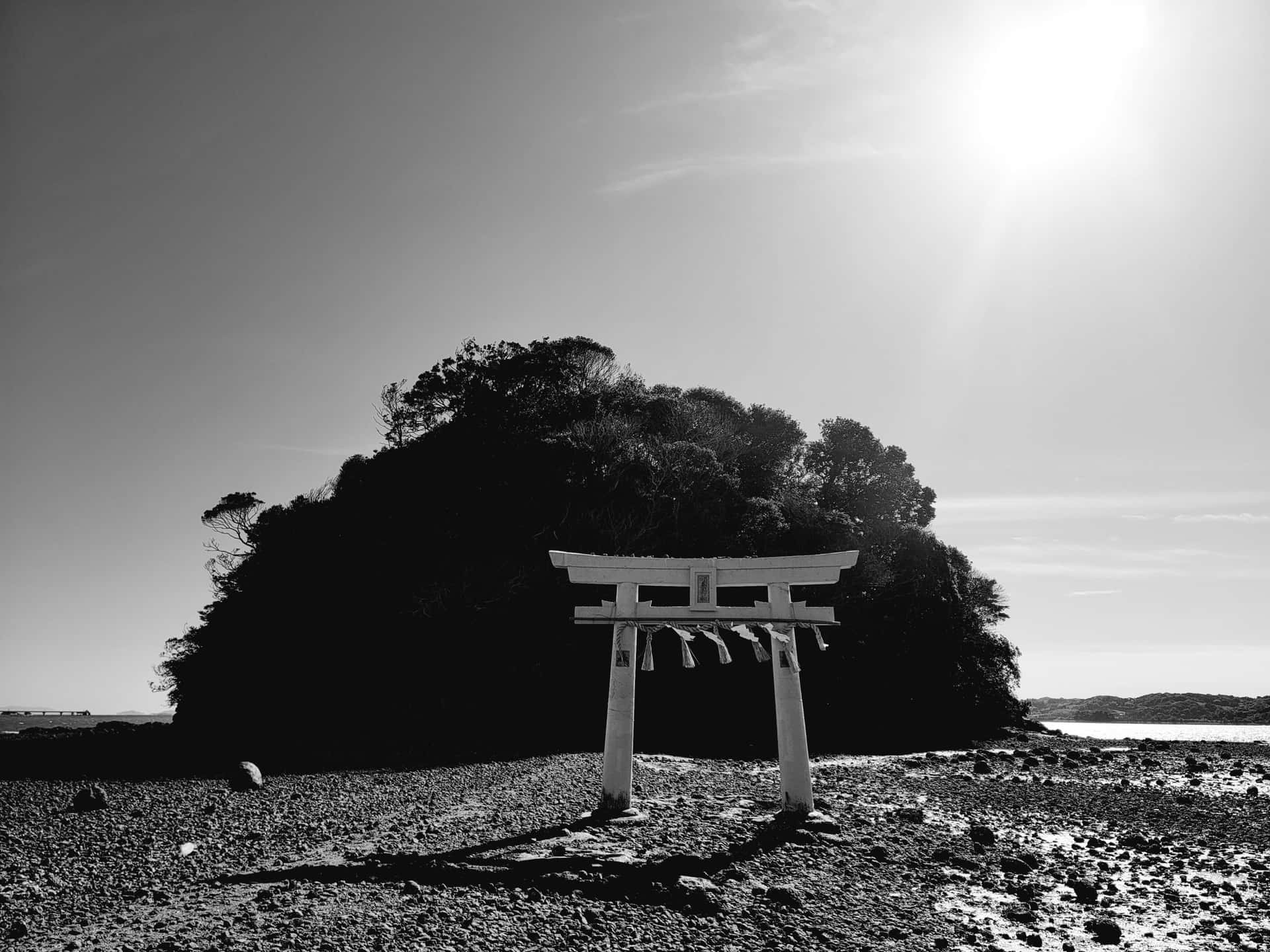 日落時分，岩石海灘上的白色鳥居，面向樹木覆蓋的島嶼。