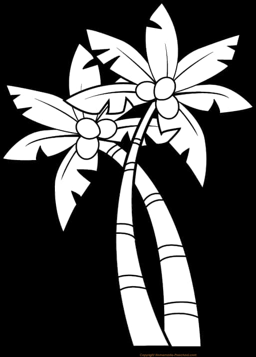 黑白椰子樹插畫 壁紙 — 兩棵風格化的棕櫚樹上掛著椰子，以粗白線條在純黑背景上高高聳立。
