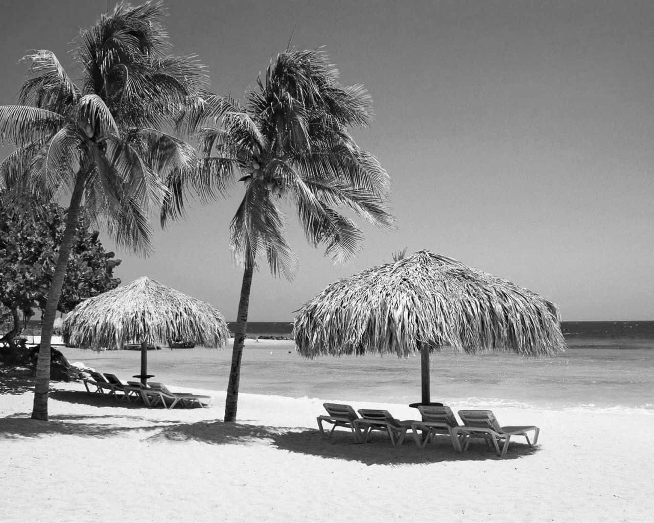 Black And White Beach 桌布 壁紙 — 黑白海灘場景，棕櫚樹、茅草傘和躺椅在白色沙灘上，靠近平靜的海洋。