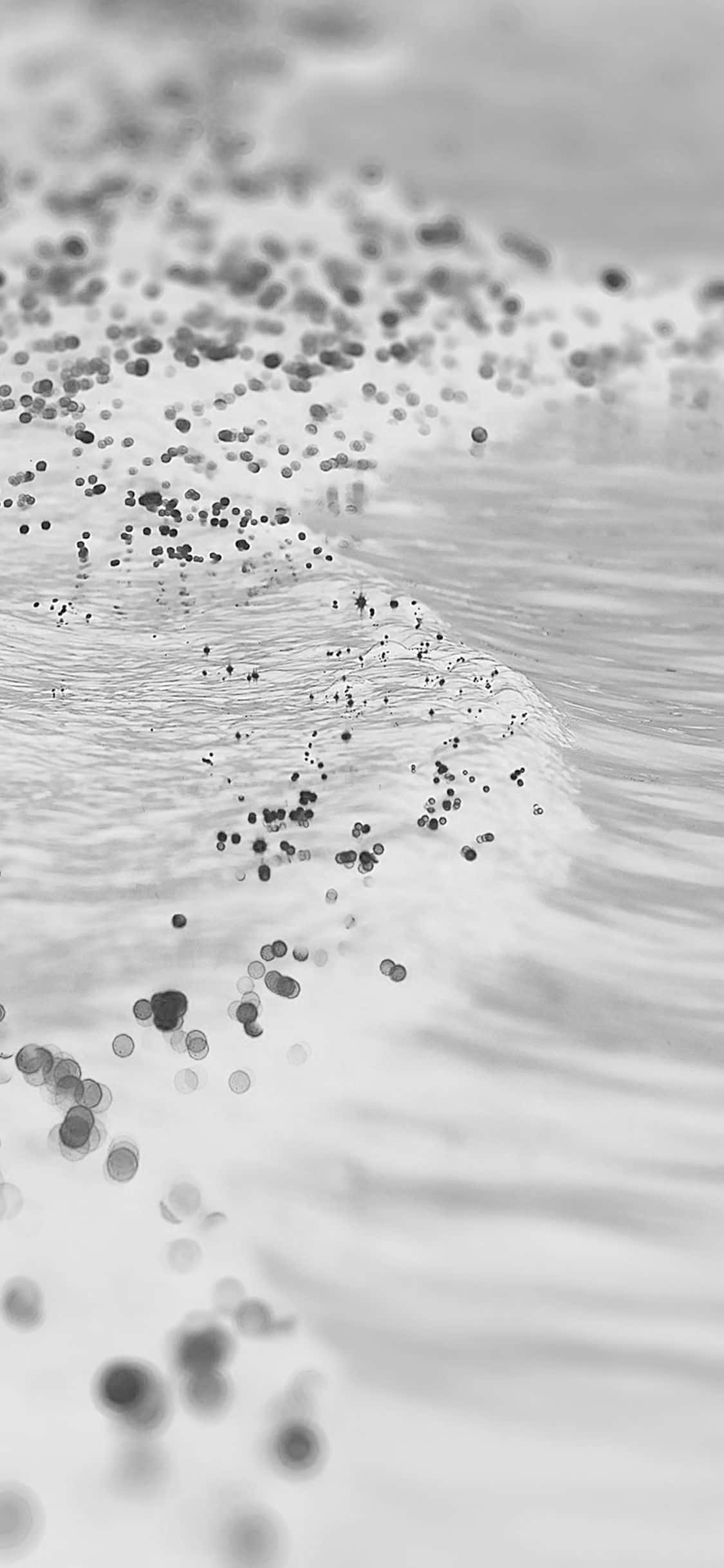 Black And White Ocean 桌布 壁紙 — 黑白特寫鏡頭，海浪拍打著散落深色鵝卵石的沙灘。