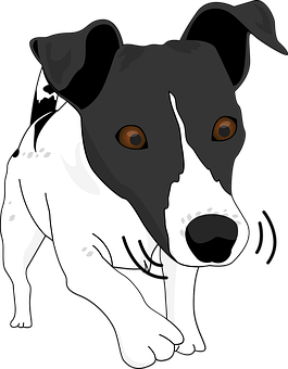 黑白狗插畫