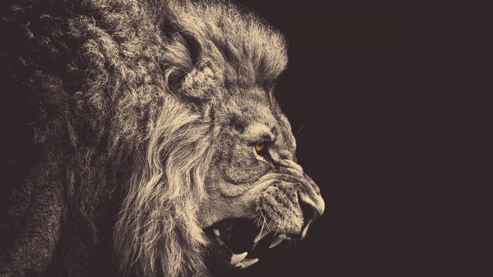 黑白獅子怒吼 壁紙 — 一頭雄偉的獅子在黑暗背景下猛烈咆哮，其紋理分明的鬃毛和發光的眼睛引人注目。