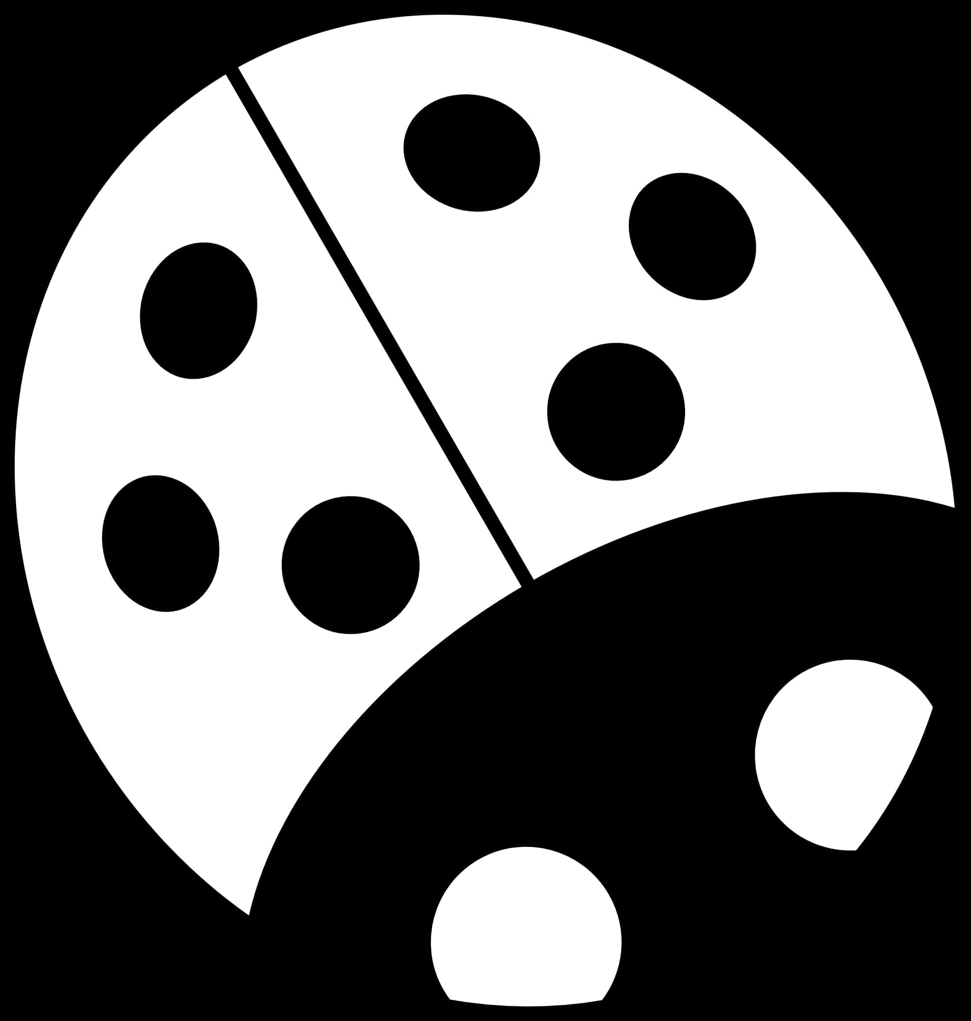 黑白瓢蟲圖示 壁紙
