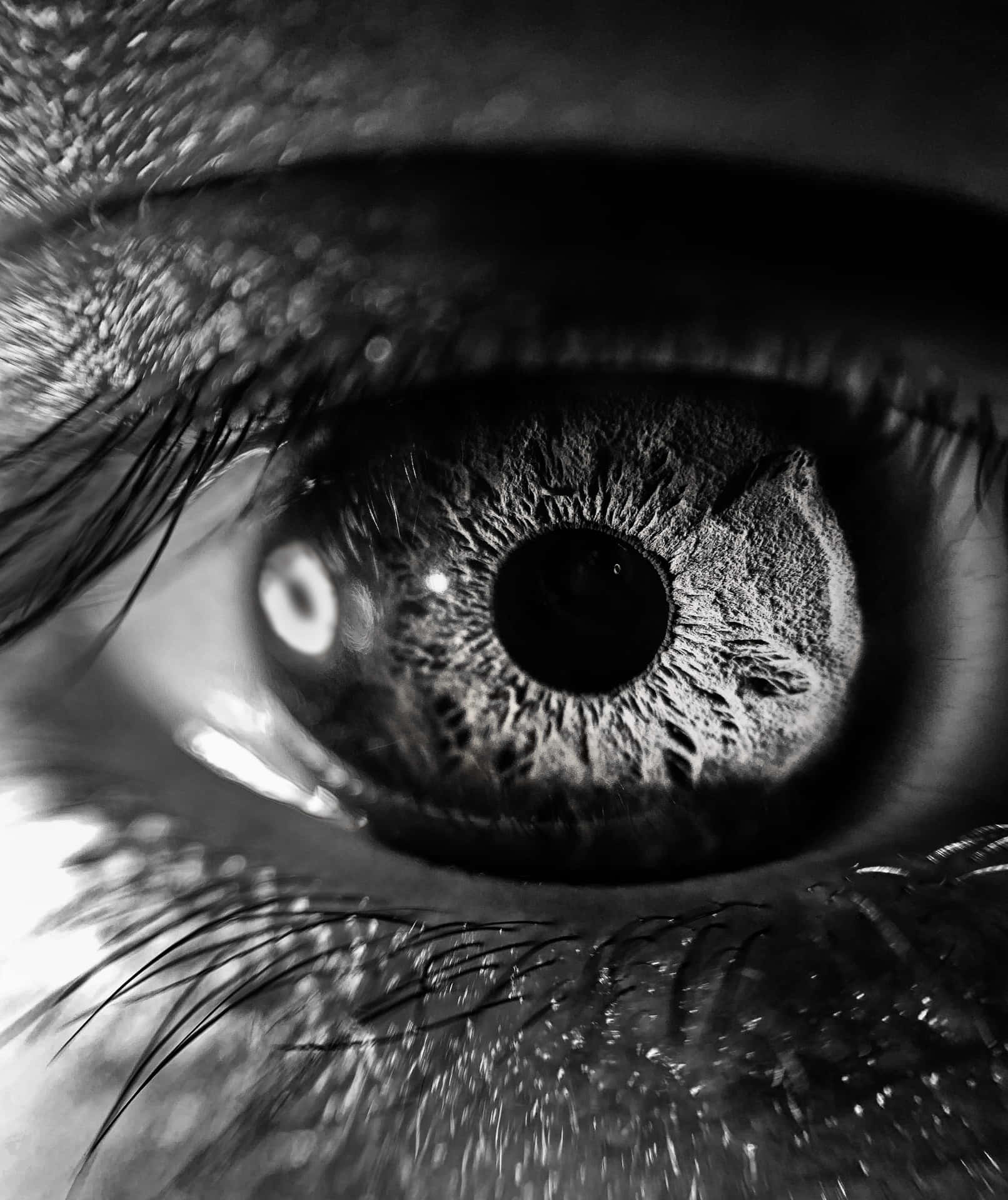 人類眼睛的特寫，以黑白呈現詳細的虹膜和睫毛。