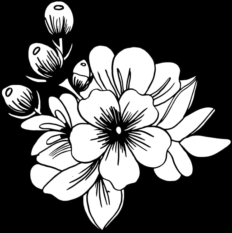 黑白花卉插畫 壁紙 — 在純黑色背景上，盛開的花朵和花蕾的鮮明黑白線條畫。