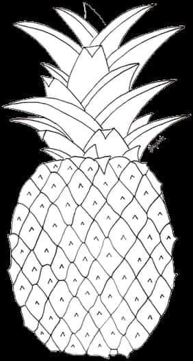黑白菠蘿素描 壁紙