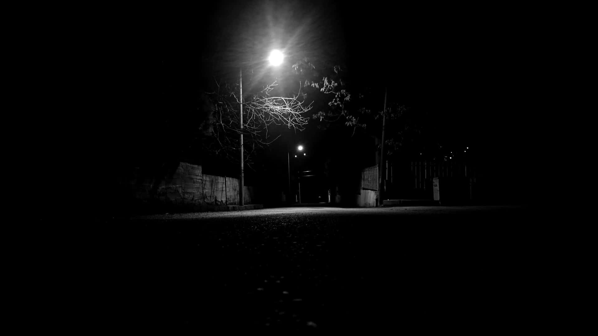 夜晚，一盞孤獨的街燈照亮了安靜空曠的道路，伴隨著圍欄和光禿禿的樹木。
